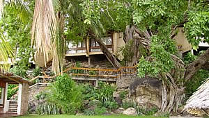 Sunbird Nkopola ANgle View